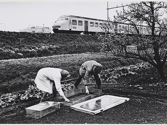 Nut En Genoegen Amsterdam
