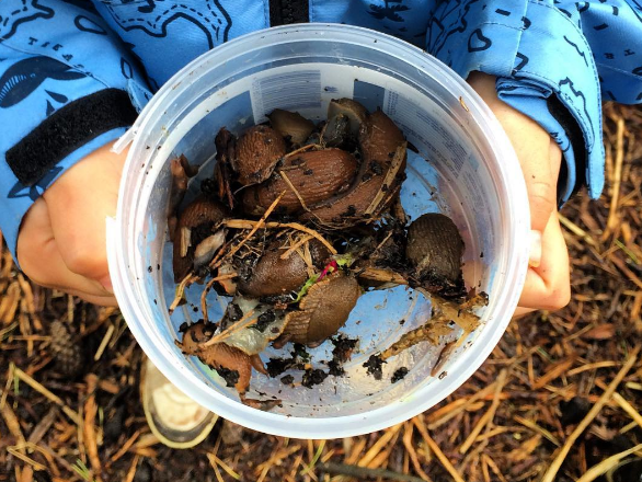 Kind Met Een Potje Slakken. Foto: Judith Schoffelen