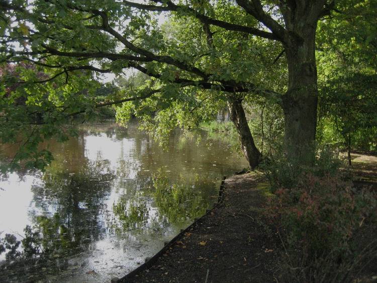 Vijver Nut En Genoegen