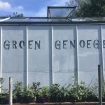 Kwekerij Groen Genoegen verkoopt plantjes op volkstuin Nut en Genoegen in het Westerpark.