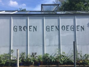Kwekerij Groen Genoegen verkoopt plantjes op volkstuin Nut en Genoegen in het Westerpark.