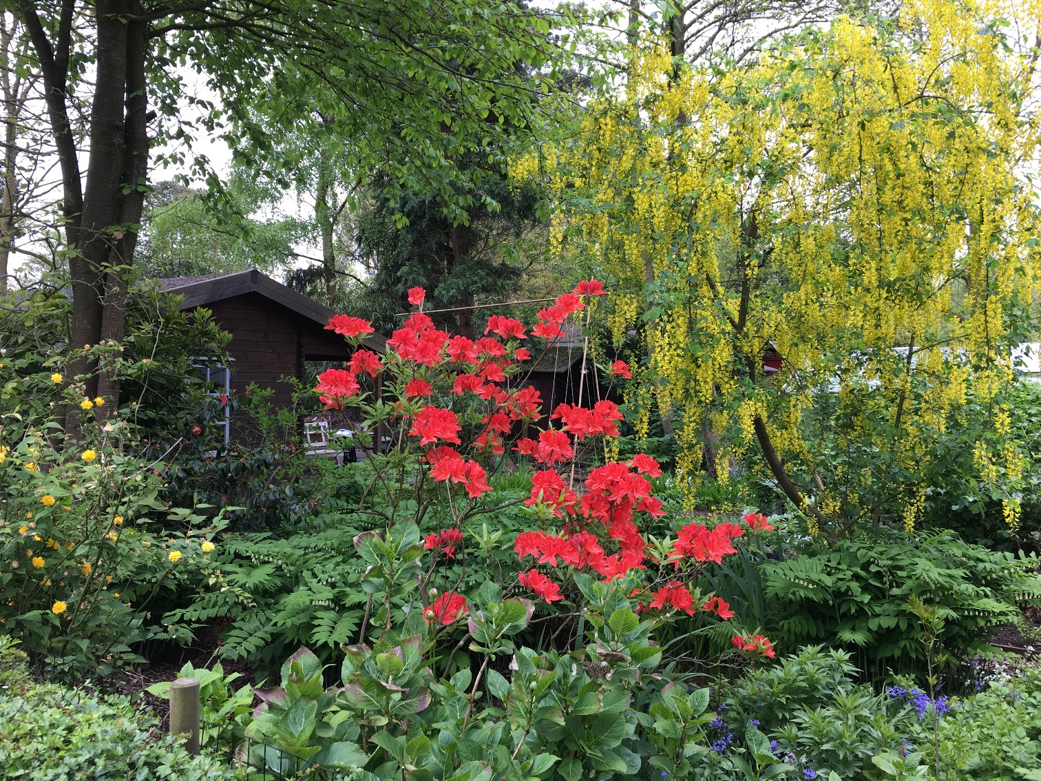 Over Nut En Genoegen