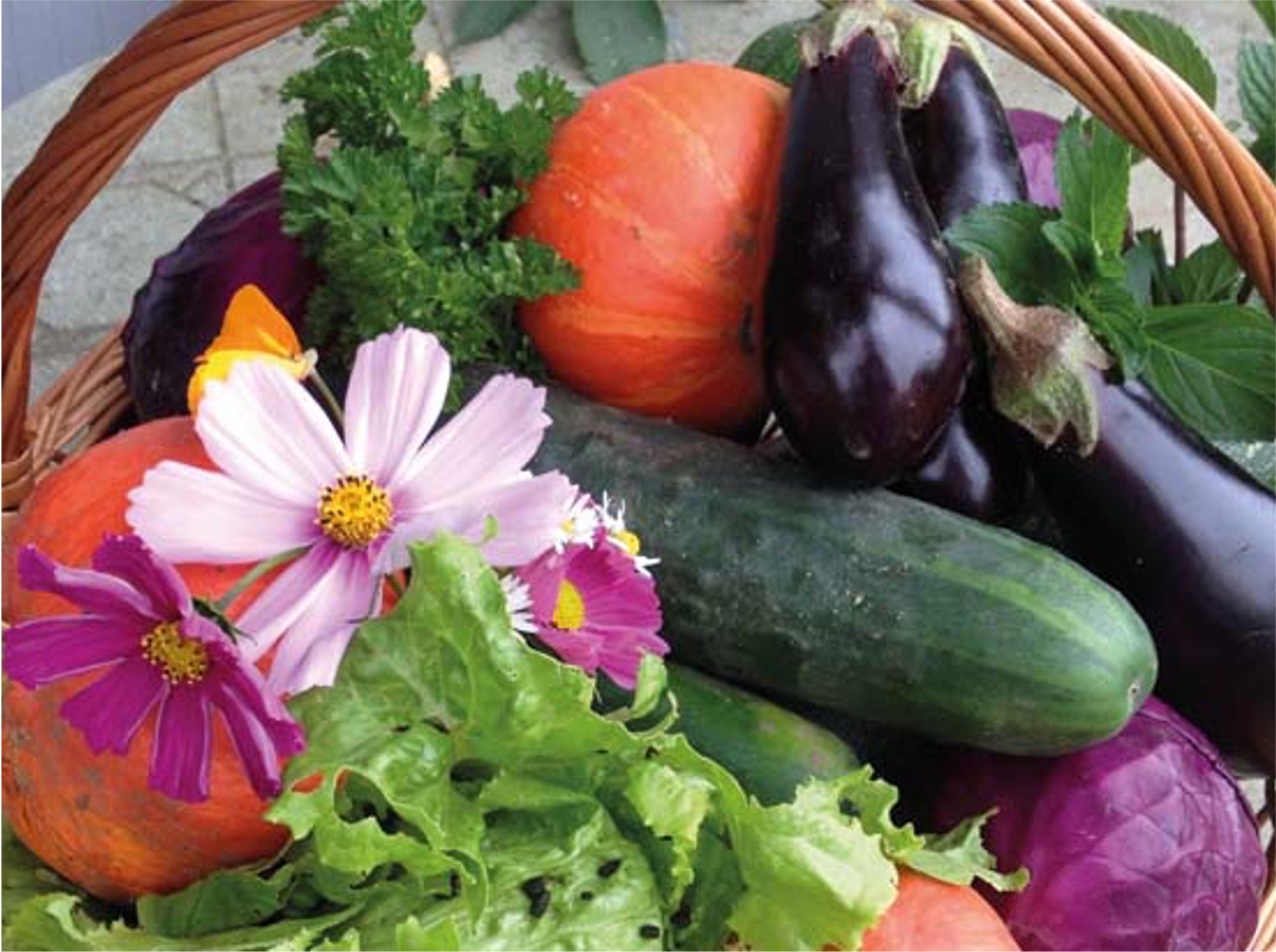Moestuin Website